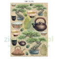 papier-scrapbooking-stamperia-oriental-garden16.JPG