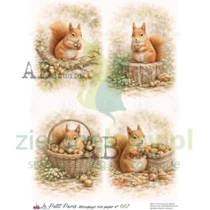 Papier ryżowy decoupage  AB Studio Le Petit Paris  A4 wiewiórka orzeszki