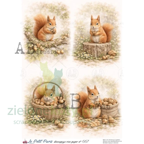 papier-ryżowy-ab-studio-wiewiórki.png
