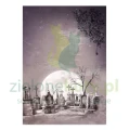 papier-scrapbooking-stamperia-halloween1.JPG