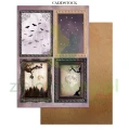 papier-scrapbooking-stamperia-halloween12.JPG