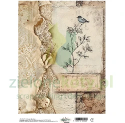 Papier ryżowy Alchemy Of Art A4 In the Library gałązka ptaszek