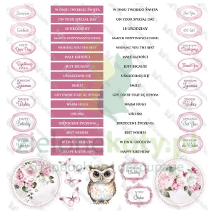 Papier do scrapbookingu 30x30 ScrapAndMe Lovely Day IN PINK napisy okładka