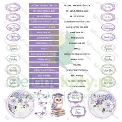 Papier do scrapbookingu 30x30 ScrapAndMe Lovely Day IN VIOLET napisy okładka