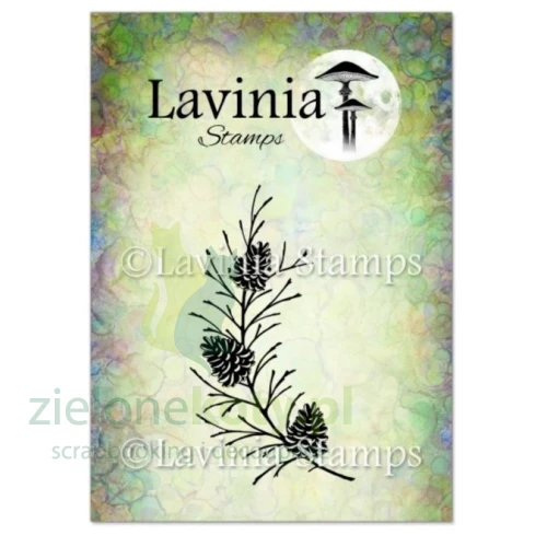 stempel-lavinia-cone-branch-gałązka.JPG