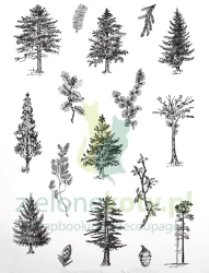 Stempel Arden Creative Studio Arboretum drzewa