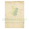 papier-scrapbooking-stamperia-silent-night1.JPG