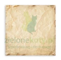 papier-scrapbooking-stamperia-silent-night12.JPG