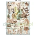 papier-scrapbooking-stamperia-white-christmas15.JPG