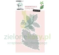 wykrojnik-studio-light-festive-holly.JPG