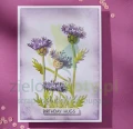 wykrojnik-spellbinders-kwiaty-s4-1430.3JPG.JPG