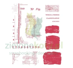 Stempel Sizzix 49andMarket Stamps Wings & Things mixed media