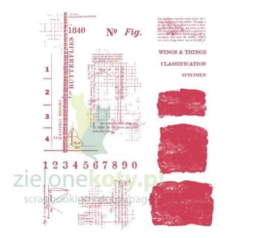 stempel-sizzix-wings-and-thins.JPG