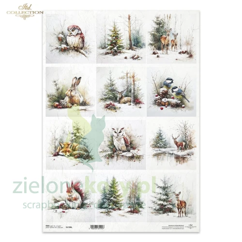 papier-ryżowy-itd-collection-A3-r1700L.1.jpg