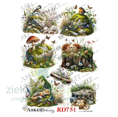 papier-ryżowy-leśne-opowieści.png