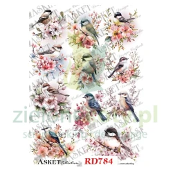 Papier ryżowy decoupage Asket A4 ptaszki