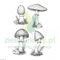 Stempel Agateria jesienne muchomory grzyby 4-5cm
