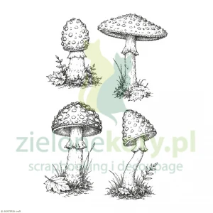 Stempel Agateria jesienne muchomory grzyby 4-5cm