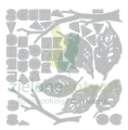 wykrojnik-sizzix-vault-leaves1 — kopia.JPG