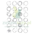 folder-sizzix-okręgi1.JPG