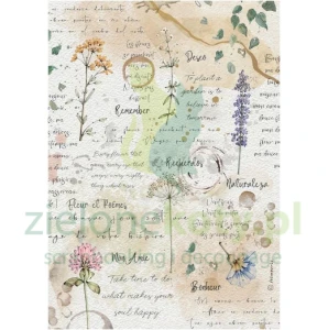 Papier ryżowy decoupage Stamperia A4 Flowers and Poems pismo kwiaty
