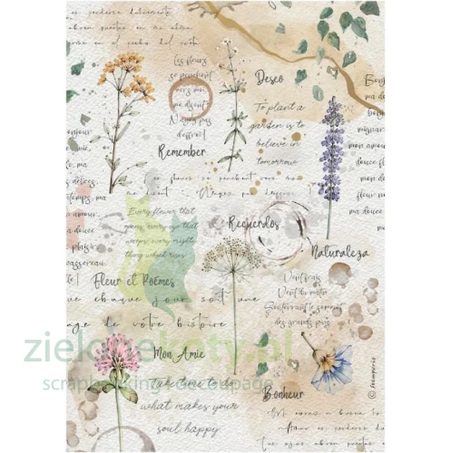papier-ryżowy-stamperia-flowers-and-poems.JPG