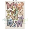 papier-scrapbooking-stamperia-flowers-and-poems12.JPG