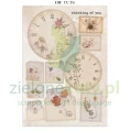 papier-scrapbooking-stamperia-flowers-and-poems13.JPG