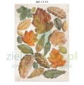 papier-scrapbooking-stamperia-flowers-and-poems14.JPG