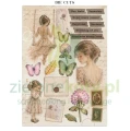 papier-scrapbooking-stamperia-flowers-and-poems6.JPG