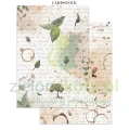 papier-scrapbooking-stamperia-flowers-and-poems9.JPG