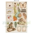 papier-scrapbooking-stamperia-flowers-and-poems14.JPG