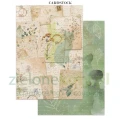 papier-scrapbooking-stamperia-flowers-and-poems17.JPG