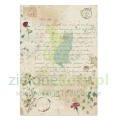 papier-scrapbooking-stamperia-flowers-and-poems18.JPG