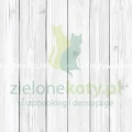 papier-scrapbooking-asia-szulik-błękitny-ogród-20x20.3.jpg