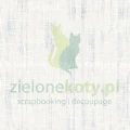 papier-scrapbooking-asia-szulik-błękitny-ogród-20x20.7.jpg