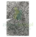 folder-sizzix-tree-rings-drzewo1.JPG