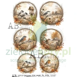 Papier ryżowy decoupage  AB Studio A4 jesienne ptaszki