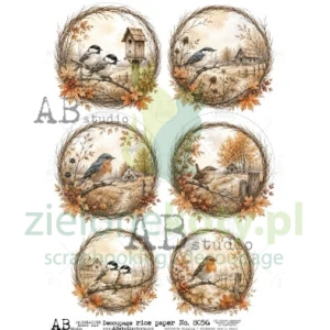 Papier ryżowy decoupage  AB Studio A4 jesienne ptaszki