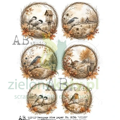 papier-ryżowy-ab-studio-a4-id-8056-ptaszki.jpg