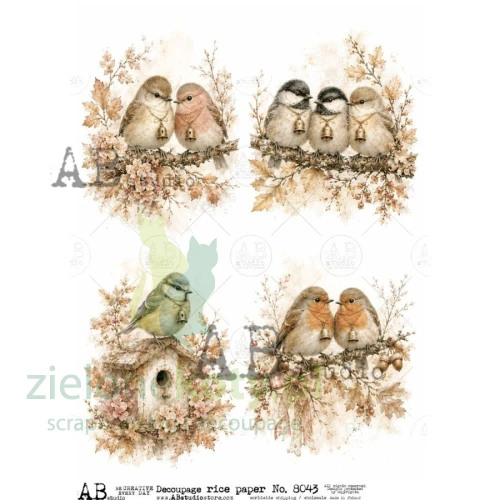 papier-ryżowy-ab-studio-a4-id-8043-ptaszki.jpg