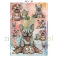 papier-scrapbooking-stamperia-furry-friends13.JPG