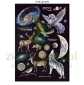 papier-scrapbooking-stamperia-cosmos4.JPG