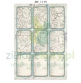 papier-scrapbooking-stamperia-cosmos15.JPG