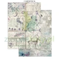 papier-scrapbooking-stamperia-cosmos7.JPG
