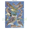 papier-scrapbooking-stamperia-cosmos12.JPG
