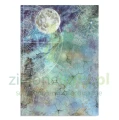 papier-scrapbooking-stamperia-cosmos18.JPG