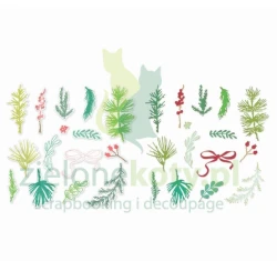 Stempel + wykrojnik Sizzix Stamps & Framelits Vicki Boutin Winter Greenery
