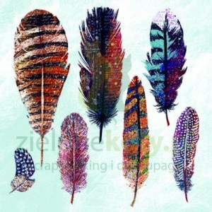 Serwetka 33x33cm pióra