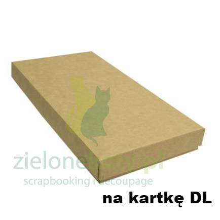 pudełko dl kraft.jpg